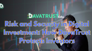Risk-and-Security-in-Digital-Investment-How-DavaTrust-Protects-Investors