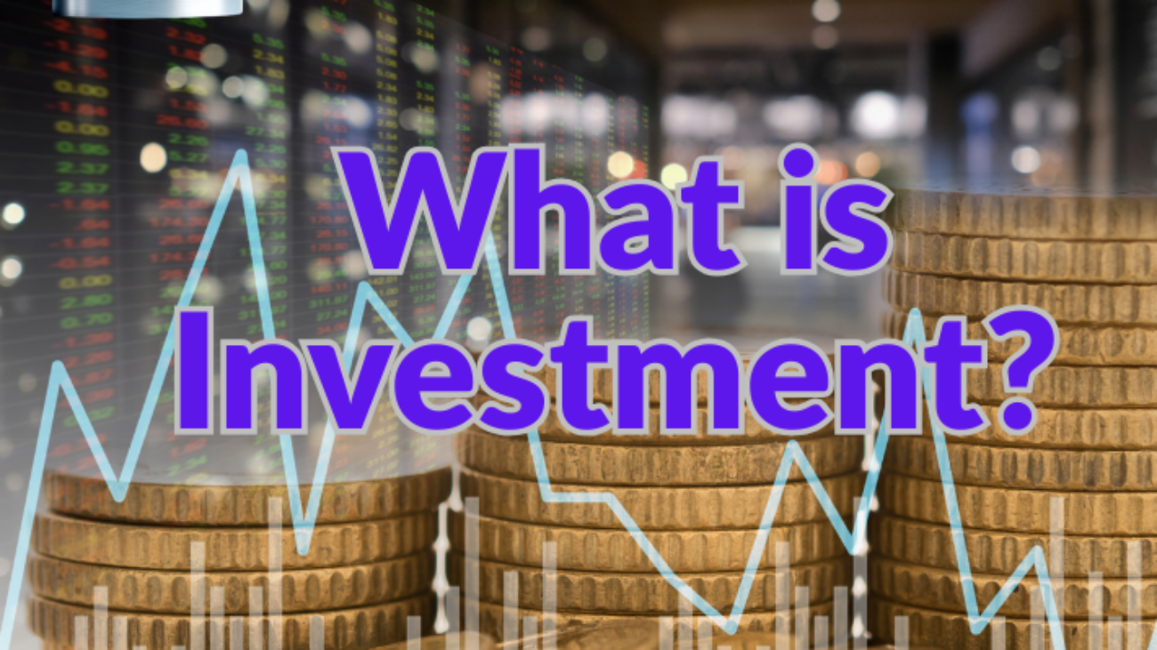What is Investment