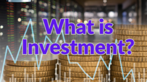 What is Investment